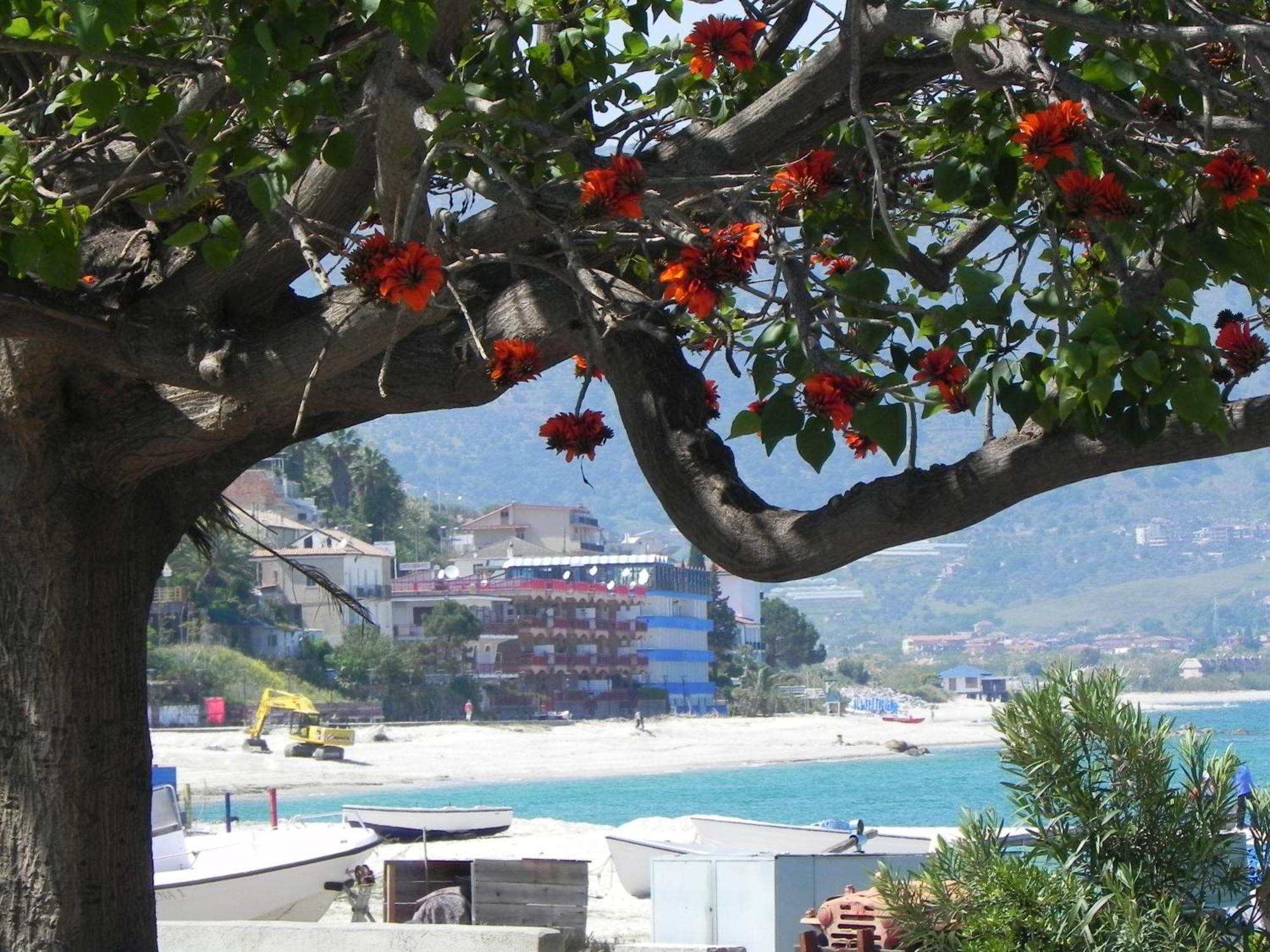 San Domenico Hotel Soverato Marina Exterior photo